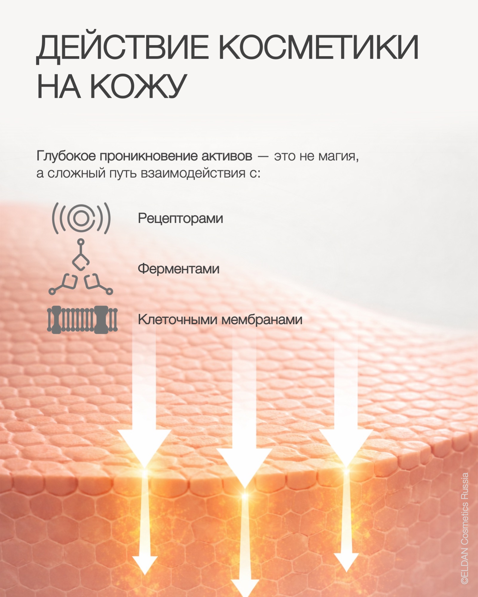 Пост распознавание активов 4.jpg